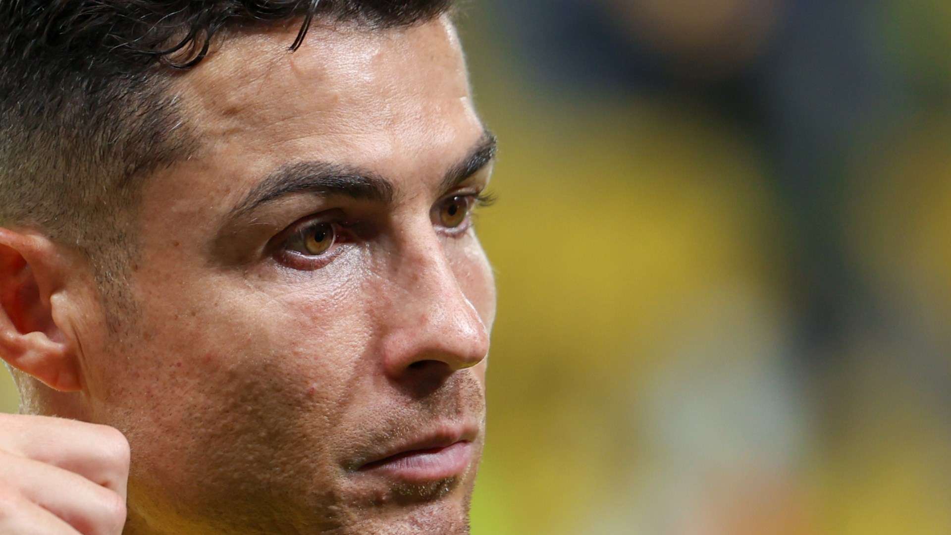 的表现备受 的表现备受